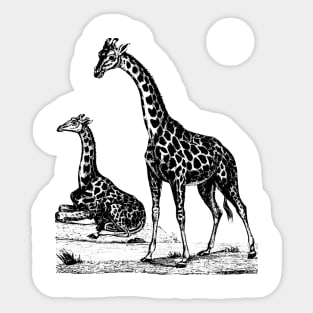 Giraffe Nature Drawing Sticker